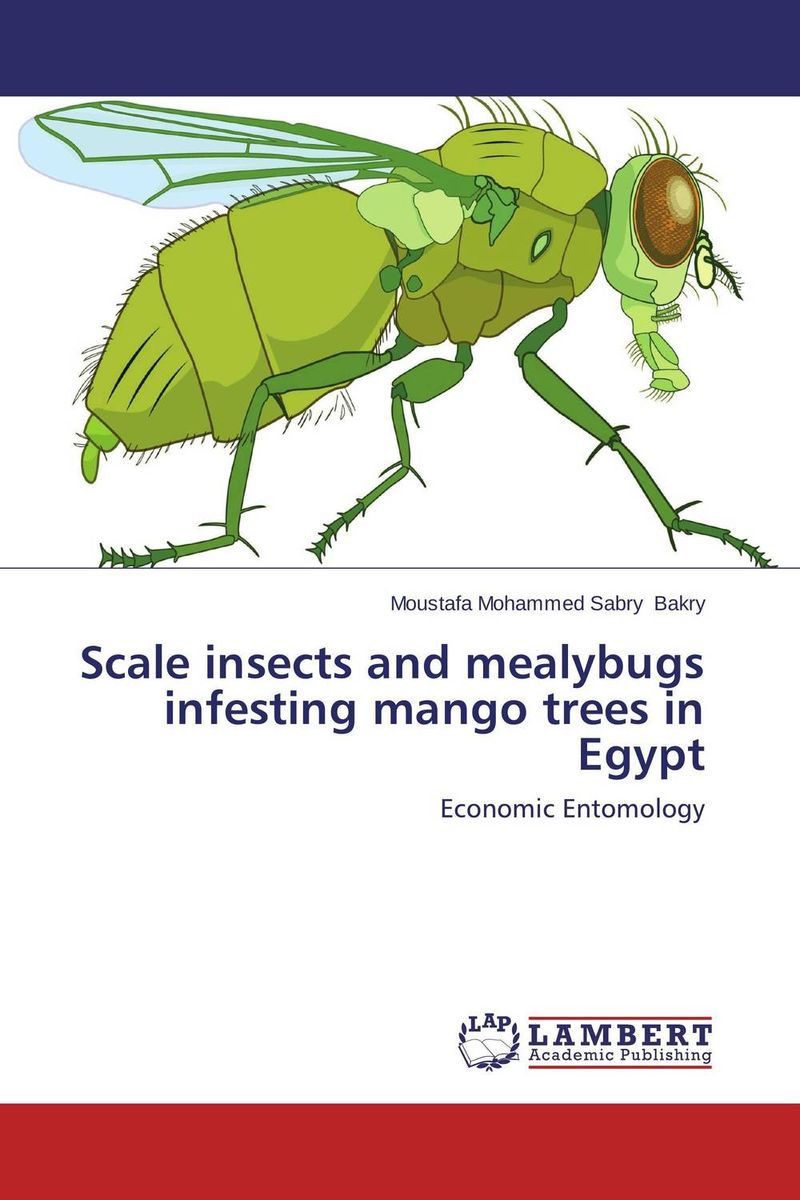 Scale insects and mealybugs infesting mango trees in Egypt