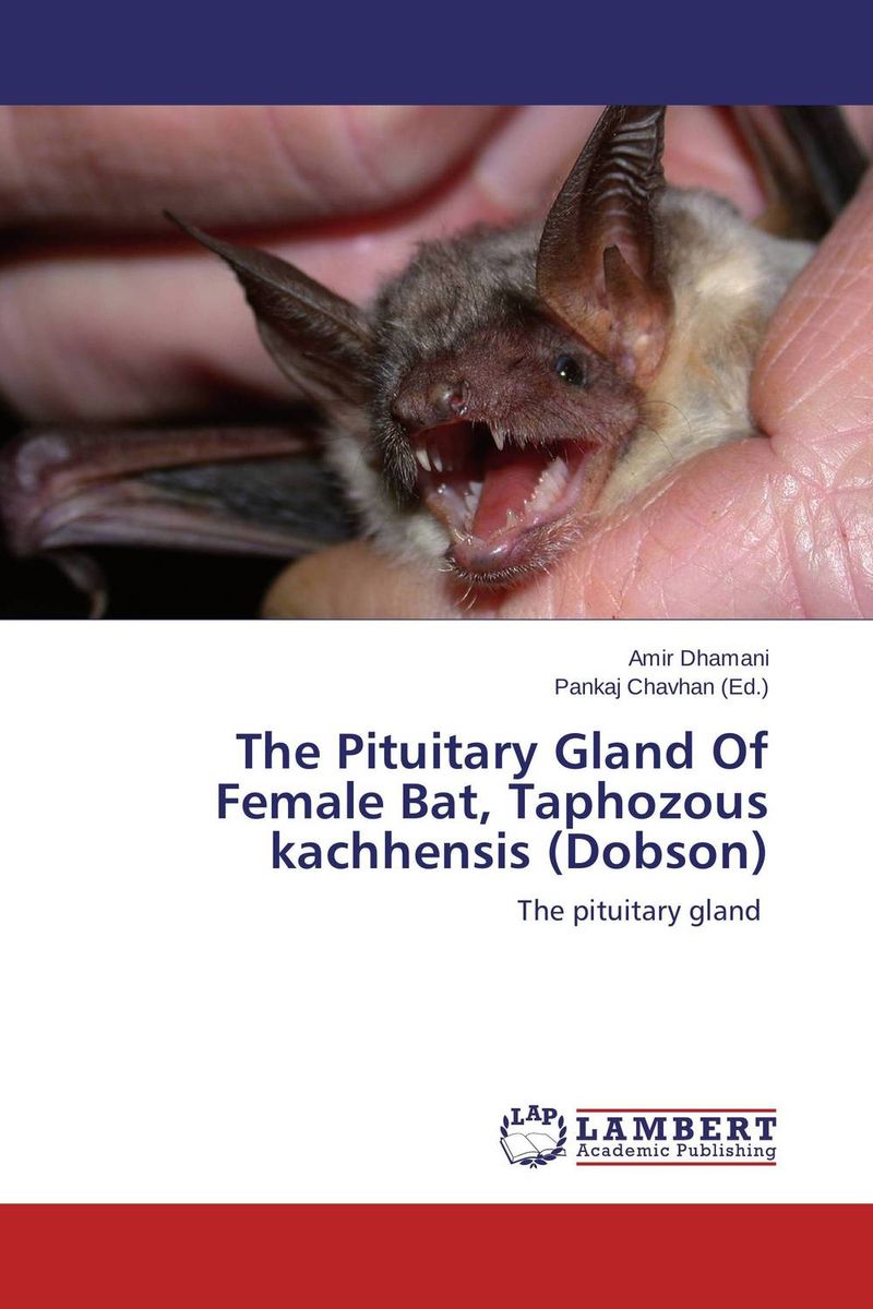 The Pituitary Gland Of Female Bat, Taphozous kachhensis (Dobson)