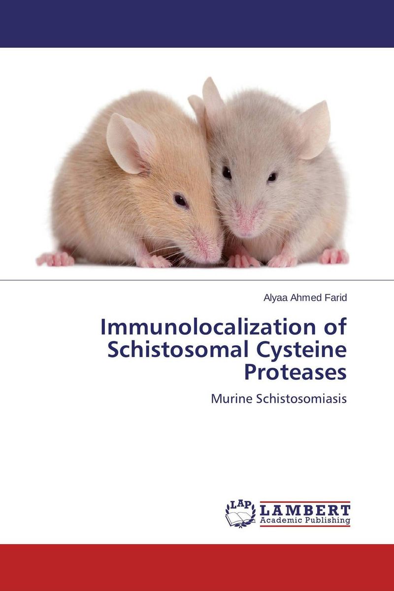 Immunolocalization of Schistosomal Cysteine Proteases