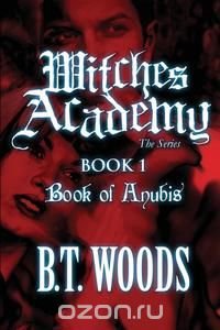 Witches Academy the Series Book 1