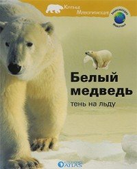 Белый медведь - тень на льду