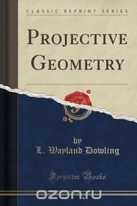 Projective Geometry (Classic Reprint)