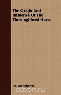 The Origin And Influence Of The Thoroughbred Horse