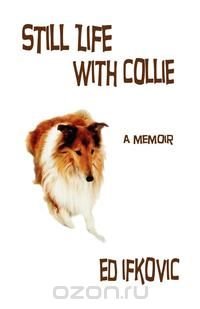 Still Life with Collie