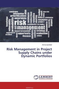 Risk Management in Project Supply Chains under Dynamic Portfolios