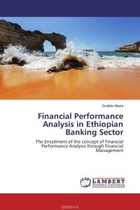 Financial Performance Analysis in Ethiopian Banking Sector