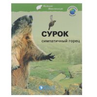 Сурок. Симпатичный горец