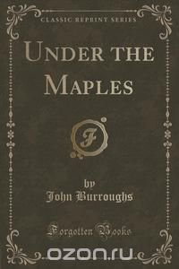 Under the Maples (Classic Reprint)