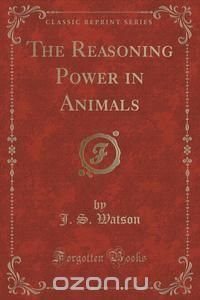 The Reasoning Power in Animals (Classic Reprint)