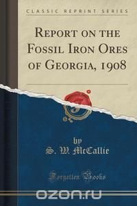 Report on the Fossil Iron Ores of Georgia, 1908 (Classic Reprint)