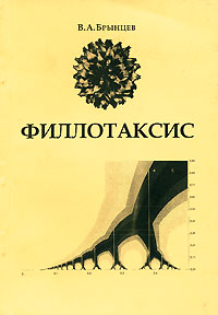 Филлотаксис