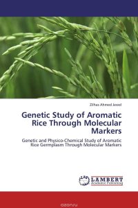 Genetic Study of Aromatic Rice Through Molecular Markers