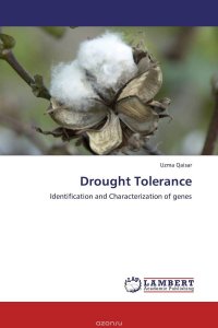 Drought Tolerance