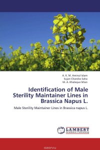 Identification of Male Sterility Maintainer Lines in Brassica Napus L