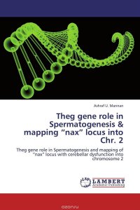 Theg gene role in Spermatogenesis & mapping “nax” locus into Chr. 2