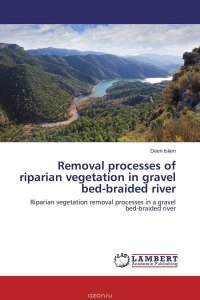 Removal processes of riparian vegetation in gravel bed-braided river