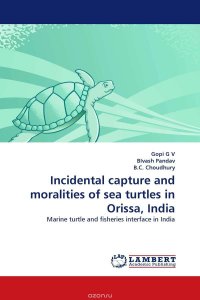 Incidental capture and moralities of sea turtles in Orissa, India