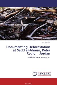 Documenting Deforestation at Sadd al-Ahmar, Petra Region, Jordan