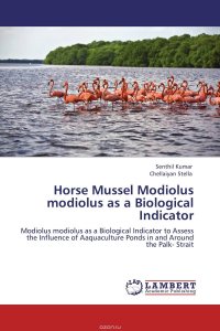 Horse Mussel Modiolus modiolus as a Biological Indicator