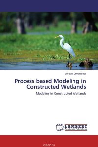 Process based Modeling in Constructed Wetlands