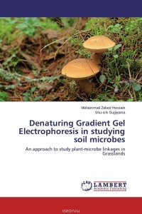 Denaturing Gradient Gel Electrophoresis in studying soil microbes