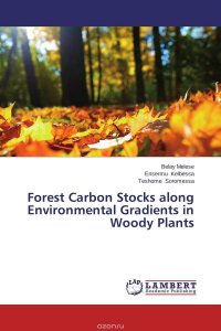 Forest Carbon Stocks along Environmental Gradients in Woody Plants