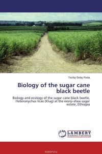 Biology of the sugar cane black beetle