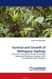 Survival and Growth of Mahogany Saplings