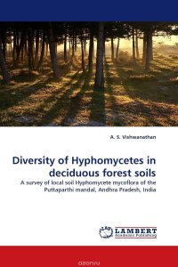 Diversity of Hyphomycetes in deciduous forest soils