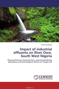 Impact of industrial effluents on River Owo, South West Nigeria