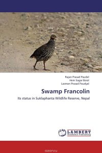 Swamp Francolin