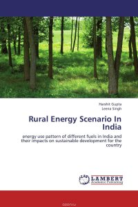 Rural Energy Scenario In India