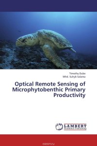 Optical Remote Sensing of Microphytobenthic Primary Productivity