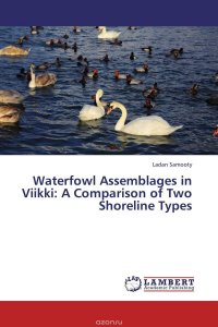 Waterfowl Assemblages in Viikki: A Comparison of Two Shoreline Types