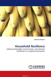 Household Resilience