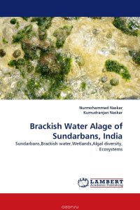 Brackish Water Alage of Sundarbans, India