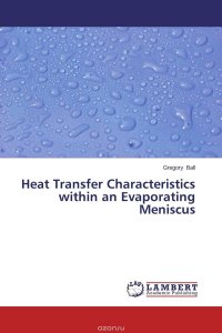 Heat Transfer Characteristics within an Evaporating Meniscus