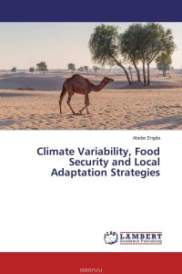 Climate Variability, Food Security and Local Adaptation Strategies