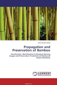 Propagation and Preservation of Bamboo