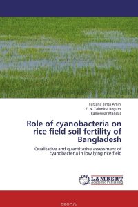 Role of cyanobacteria on rice field soil fertility of Bangladesh