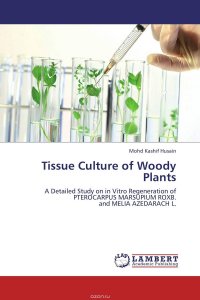 Mohd Kashif Husain - «Tissue Culture of Woody Plants»