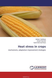 Heat stress in crops