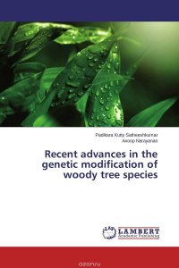 Recent advances in the genetic modification of woody tree species