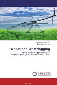 Wheat and Waterlogging