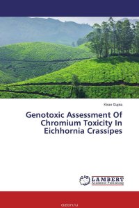 Genotoxic Assessment Of Chromium Toxicity In Eichhornia Crassipes