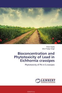 Bioconcentration and Phytotoxicity of Lead in Eichhornia crassipes