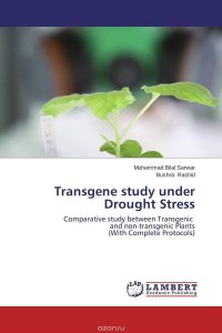 Transgene study under Drought Stress