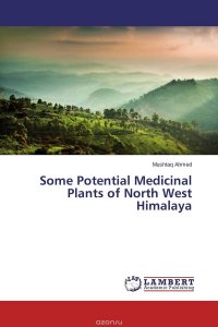 Some Potential Medicinal Plants of North West Himalaya