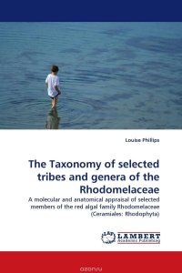 The Taxonomy of selected tribes and genera of the Rhodomelaceae