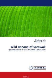 Wild Banana of Sarawak